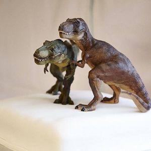 Meet your Posher, Meaghan